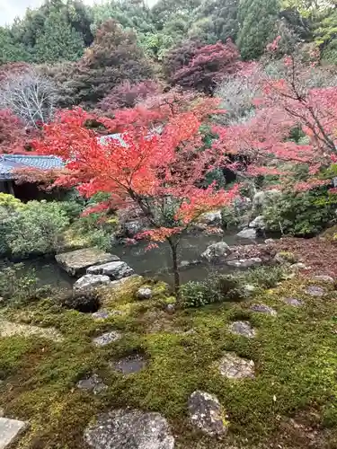 実相院門跡(京都府)