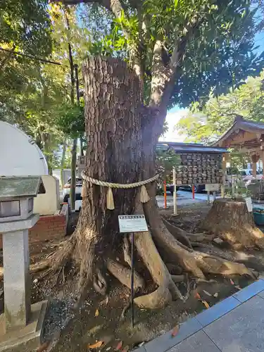 大宮・大原神社(千葉県)