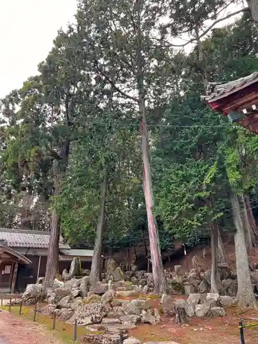 松尾神社の庭園