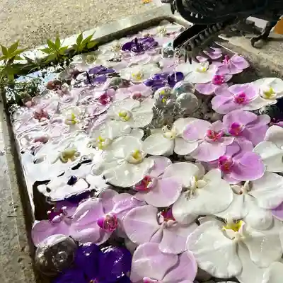 札幌諏訪神社の手水舎