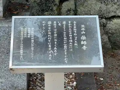 薬師寺(奈良県)