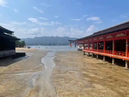 厳島神社(広島県)