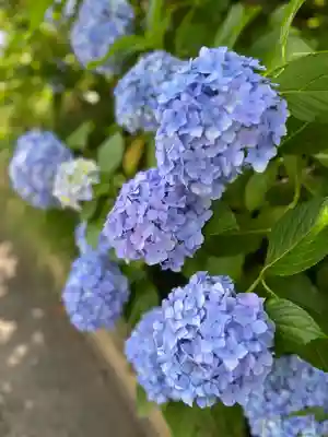 高麗神社(埼玉県)