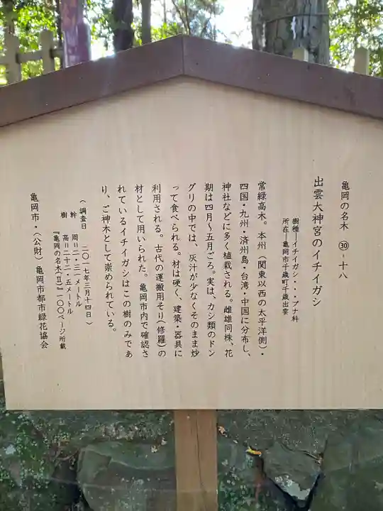 出雲大神宮(京都府)