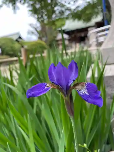 五條天神社(東京都)