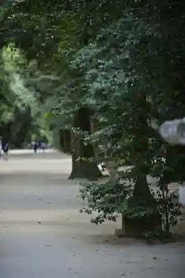 奥宮(鹿島神宮摂社)(茨城県)
