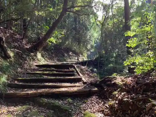 白山神社の自然