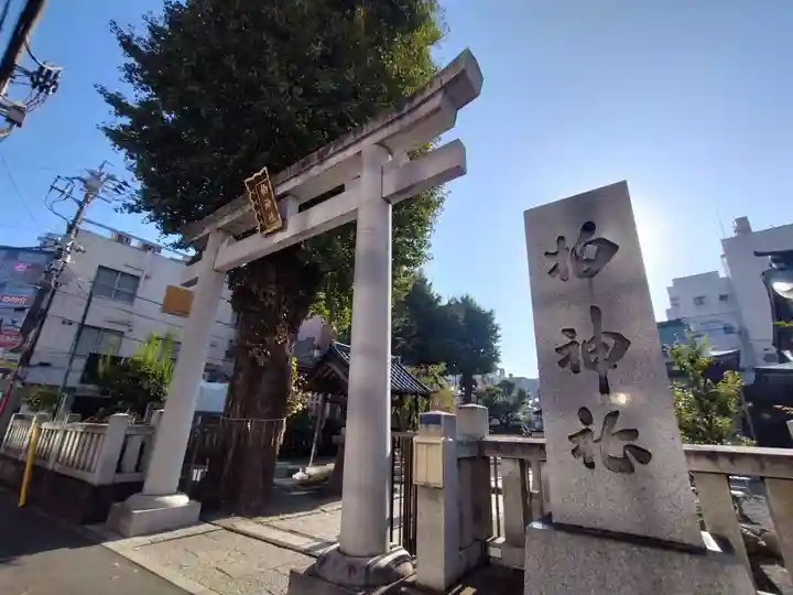 柏神社(千葉県)