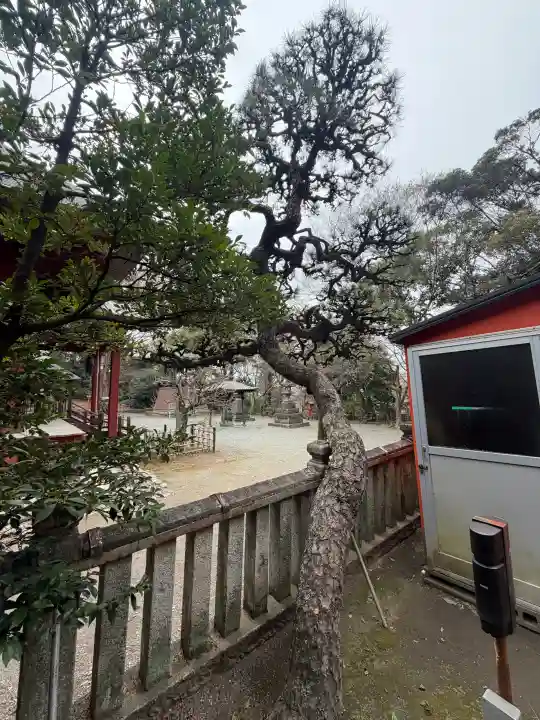 日吉神社の{uncategorized: "未分類", other: "その他", undefined: "問題あり", building: "その他建物", grave: "お墓", sacred_gate: "鳥居", guardian: "狛犬", statue: "像", buddha: "仏像", history: "歴史", nature: "自然", garden: "庭園", animal: "動物", pagoda: "塔", temizu: "手水舎", mountain_gate: "山門・神門", sanctuary: "本殿・本堂", subordinate: "末社・摂社", art: "芸術", scenery: "景色", jizo: "地蔵", ema: "絵馬", goshuin: "御朱印", omikuji: "おみくじ", items: "授与品その他", amulet: "お守り", goshuincho: "御朱印帳", eats: "食事", festival: "お祭り", votive_dance: "神楽", shichigosan: "七五三参", wedding: "結婚式", experience: "体験その他", initially: "初詣", around: "周辺", anti_infection: "感染症対策"}