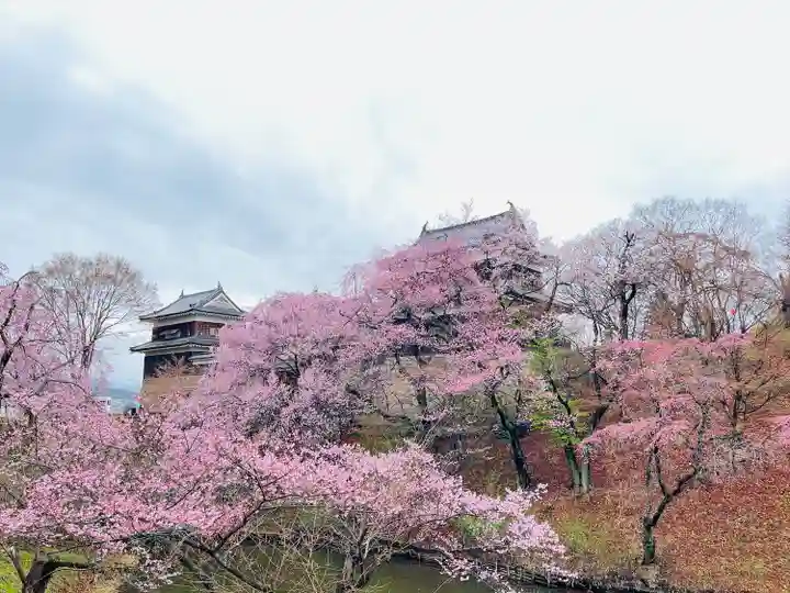 眞田神社の自然