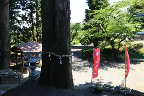 高司神社〜むすびの神の鎮まる社〜の自然