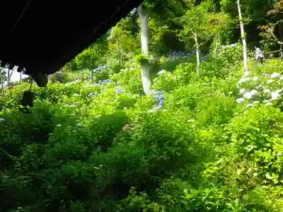 長谷寺のその他建物