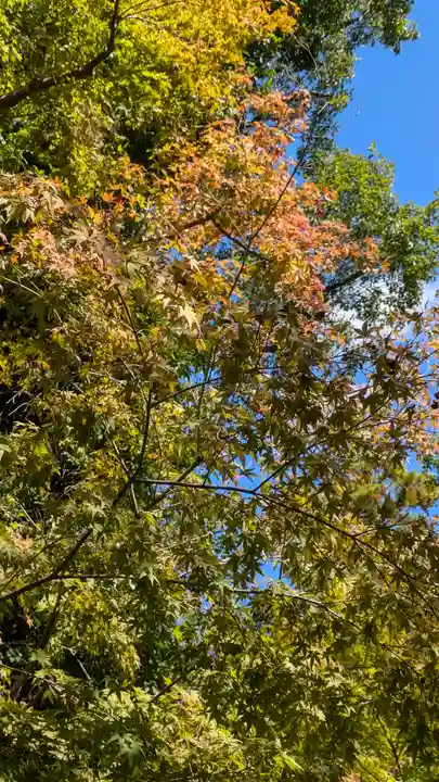光明寺(粟生光明寺)(京都府)