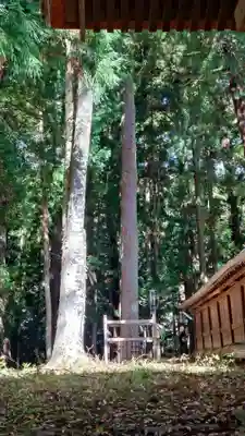 諏訪大社下社秋宮(長野県)