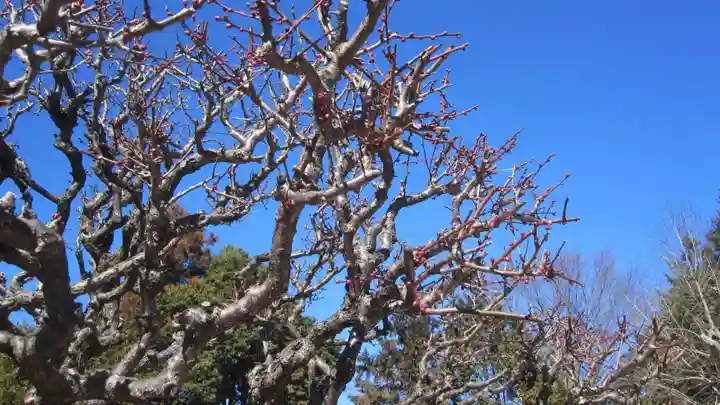 水海道天満宮(茨城県)