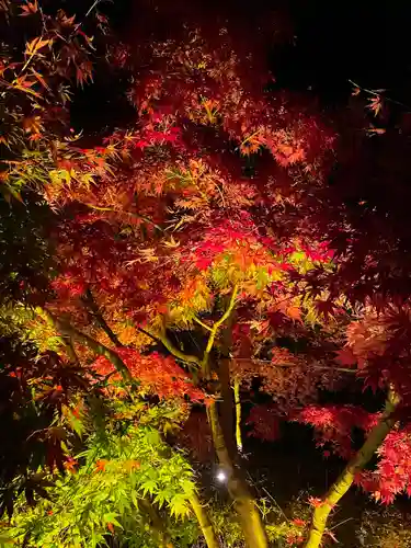 尊永寺(静岡県)
