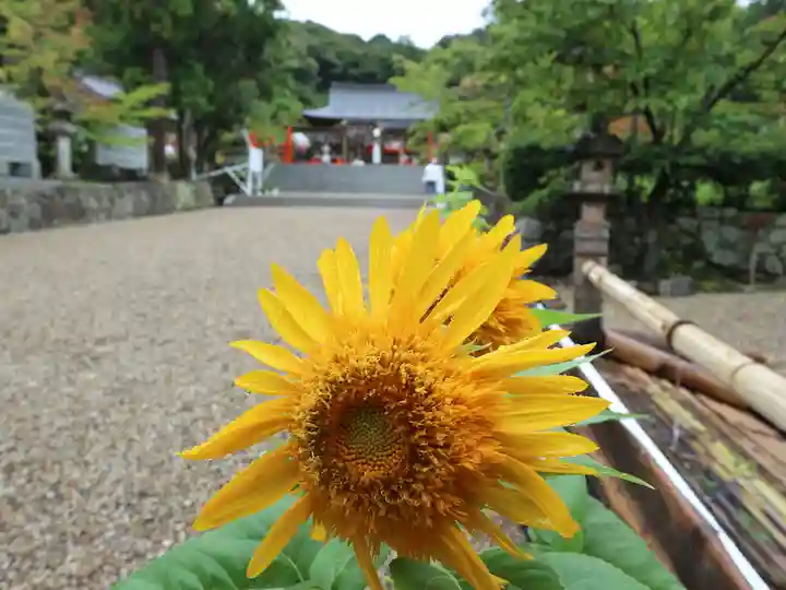 龍田大社の自然
