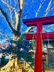 龍ケ崎八坂神社(茨城県)