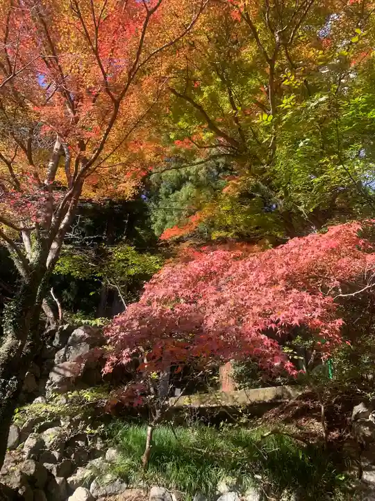 養老神社(岐阜県)