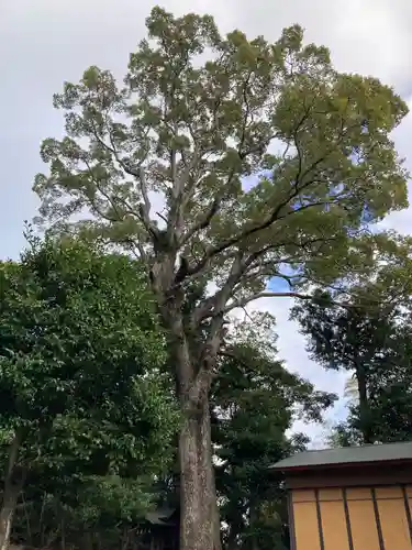 居神神社(神奈川県)