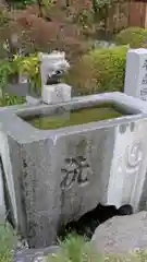 長興寺（長興禅寺）(京都府)