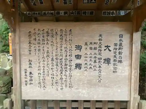 來宮神社(静岡県)