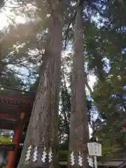 日光二荒山神社(栃木県)