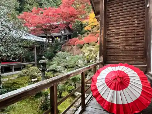 柳谷観音　楊谷寺(京都府)