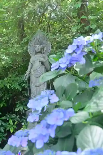 高幡不動尊　金剛寺の仏像