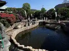 医王寺の庭園