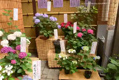 十番稲荷神社(東京都)