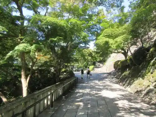 清水寺(京都府)