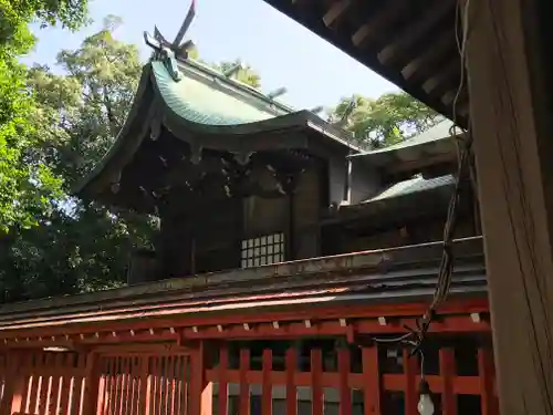 唐津神社の本殿・本堂
