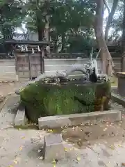 六甲八幡神社の手水