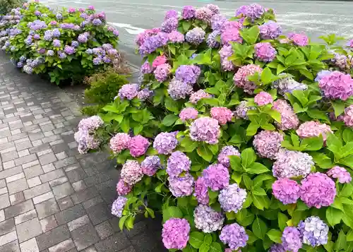 日枝神社(静岡県)