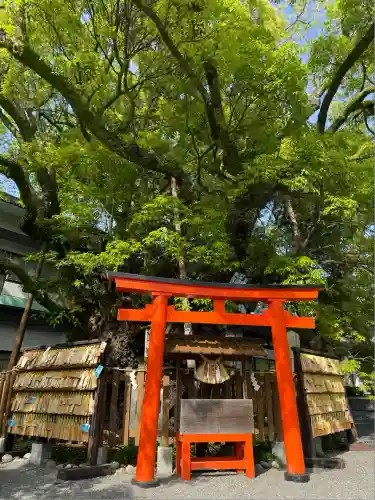 富知六所浅間神社(静岡県)