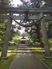 八幡宮の鳥居