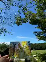 賀茂別雷神社(栃木県)