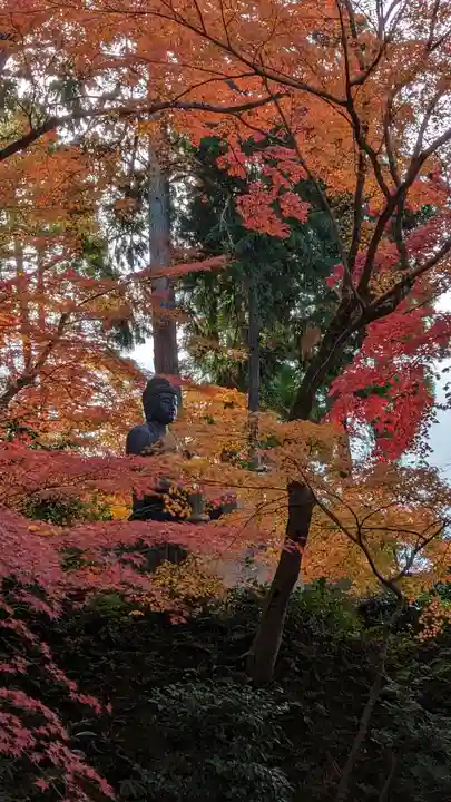 榮攝院(栄摂院)(京都府)