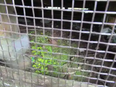 伊米神社(新潟県)