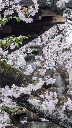 天孫神社(滋賀県)