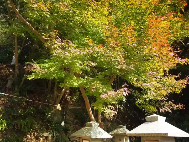 杉尾神社(和歌山県)