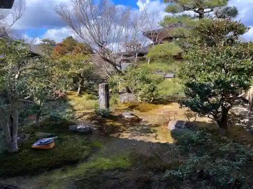 天龍寺の庭園