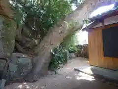 芝神社の自然