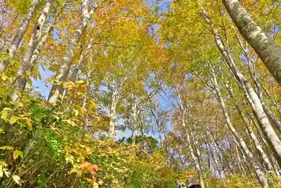 八海神社(新潟県)