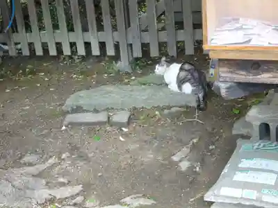 阿邪訶根神社の動物