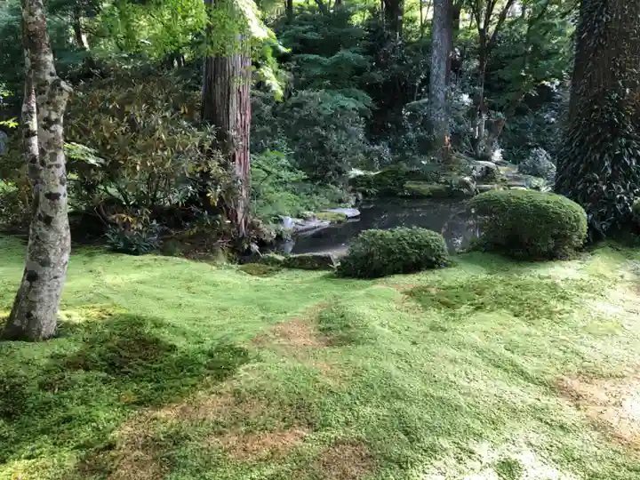 三千院門跡の庭園