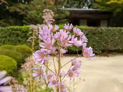 詩仙堂(丈山寺)(京都府)