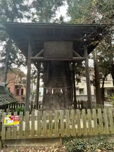 大和田氷川神社の{uncategorized: "未分類", other: "その他", undefined: "問題あり", building: "その他建物", grave: "お墓", sacred_gate: "鳥居", guardian: "狛犬", statue: "像", buddha: "仏像", history: "歴史", nature: "自然", garden: "庭園", animal: "動物", pagoda: "塔", temizu: "手水舎", mountain_gate: "山門・神門", sanctuary: "本殿・本堂", subordinate: "末社・摂社", art: "芸術", scenery: "景色", jizo: "地蔵", ema: "絵馬", goshuin: "御朱印", omikuji: "おみくじ", items: "授与品その他", amulet: "お守り", goshuincho: "御朱印帳", eats: "食事", festival: "お祭り", votive_dance: "神楽", shichigosan: "七五三参", wedding: "結婚式", experience: "体験その他", initially: "初詣", around: "周辺", anti_infection: "感染症対策"}