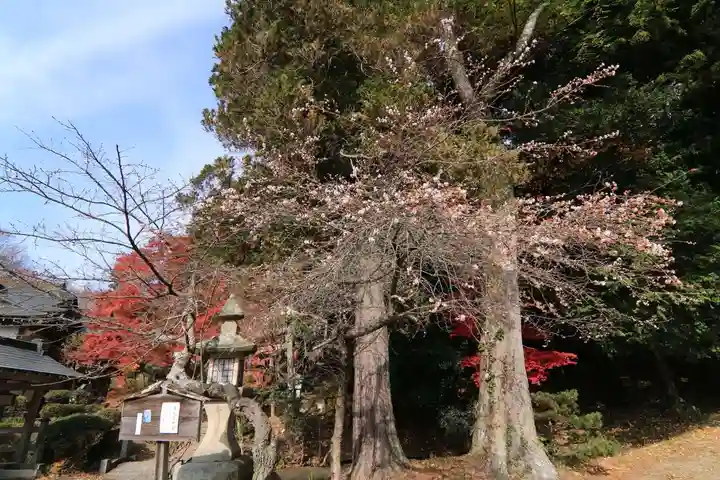 鹿島大神宮の庭園